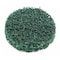 Garant Cleaning Disc, Dia: 76.2 mm, Medium 554055 MED - alternate 2